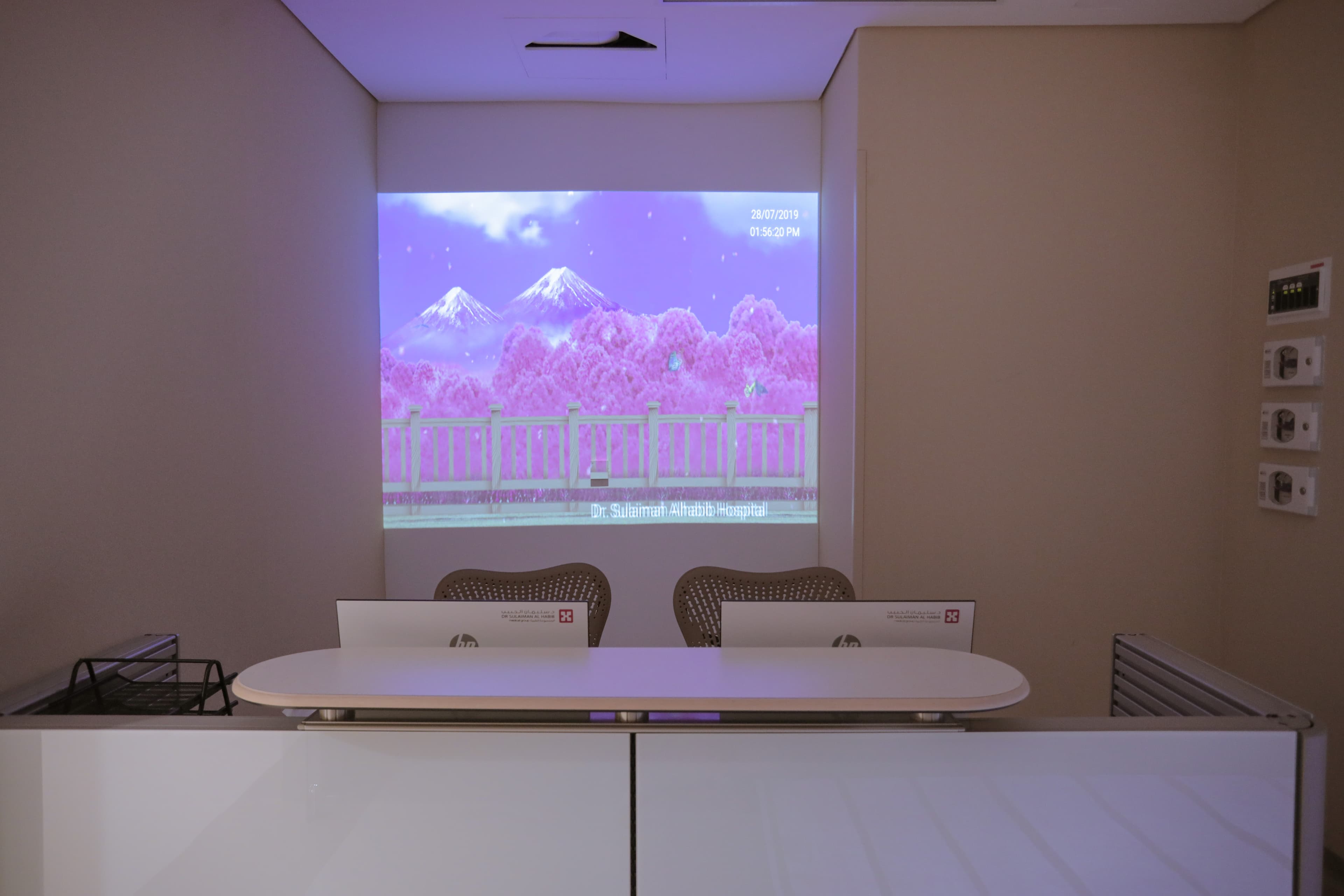 Paediatric suite theming