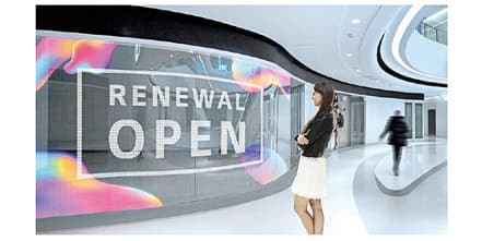 Transparent display screen